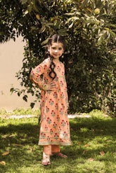 Gul bahaar Suit 2pc