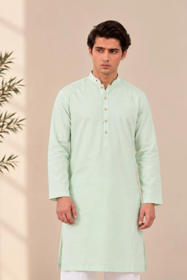 Mint Green CL Kurta (1 Piece) Hover Image