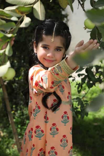 Gul bahaar Suit 2pc