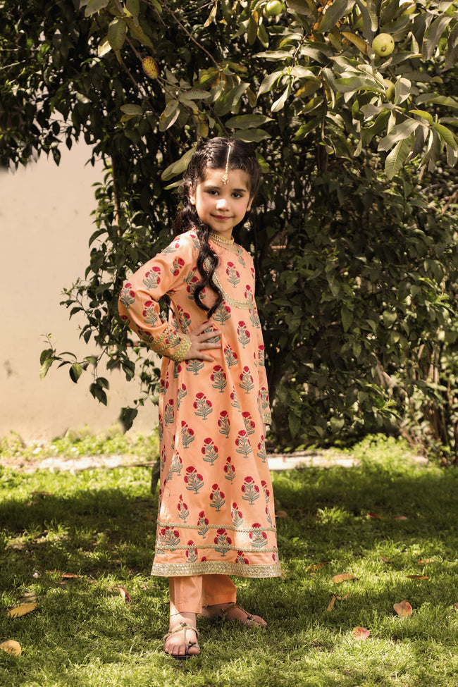 Gul bahaar Suit 2pc Hover Image