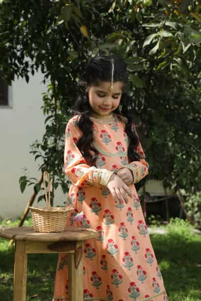 Gul bahaar Suit 2pc Main Image