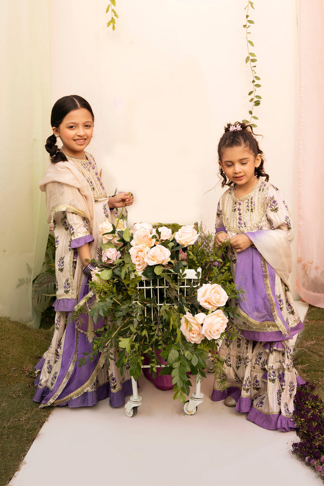 Heirloom Paisley - Sharara (4 Piece Set) Main Image