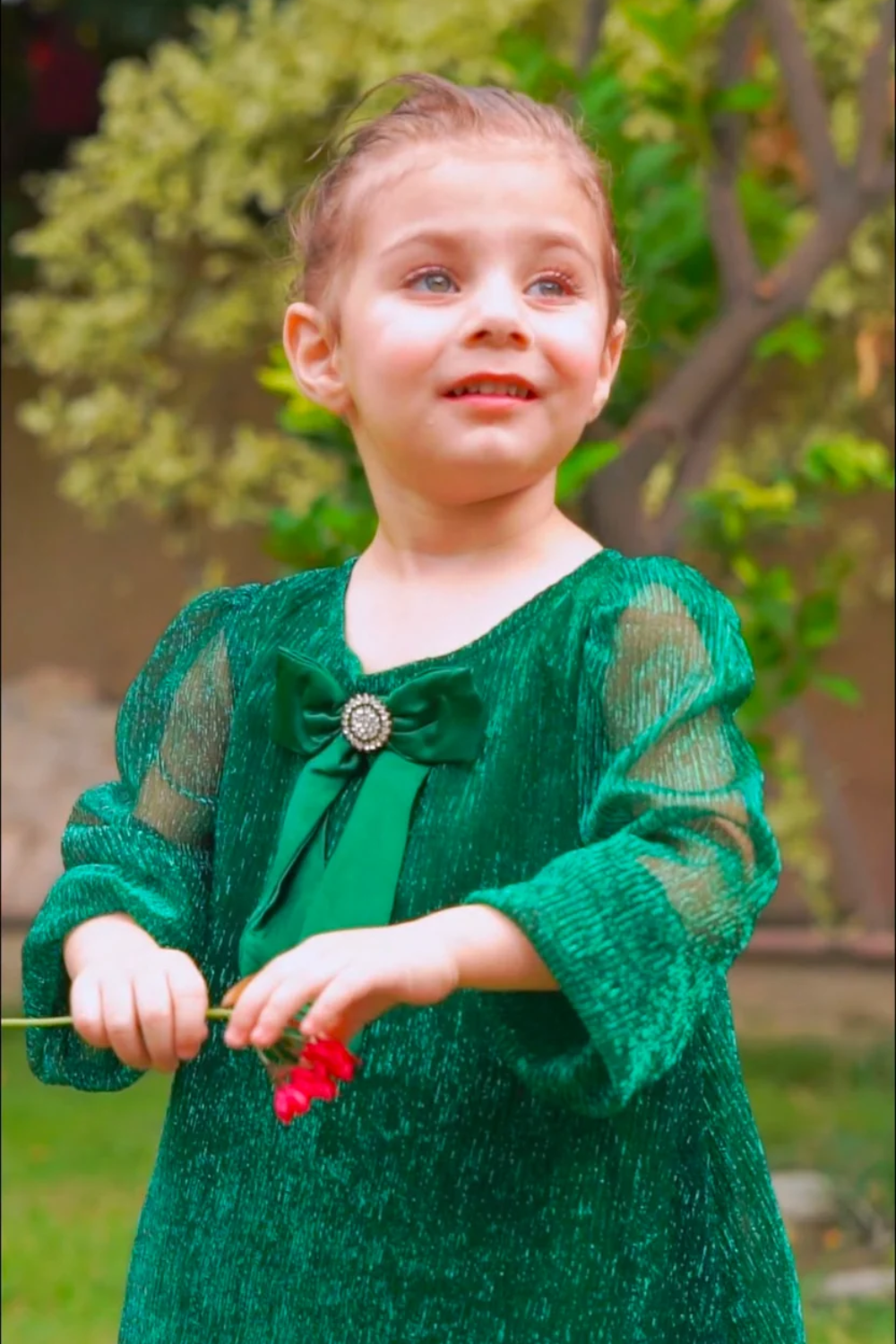 Green Shimmery Brooch Dress