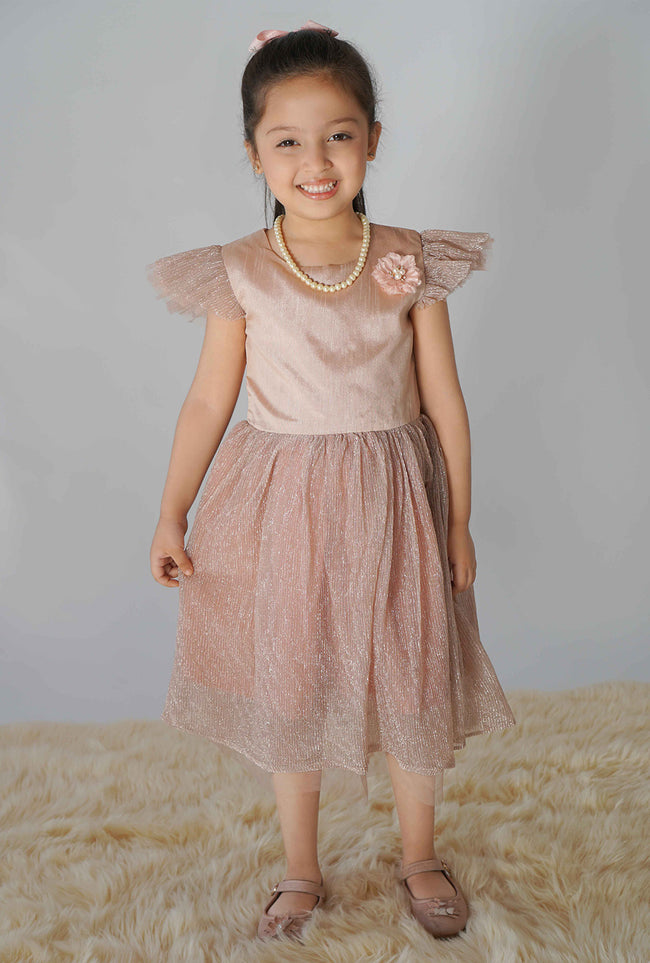 Peach Shimmery Party Dress Hover Image