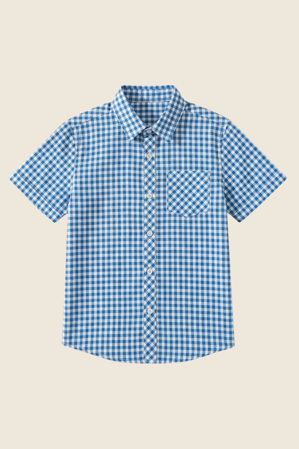 Blue Checkered Summer Shirt