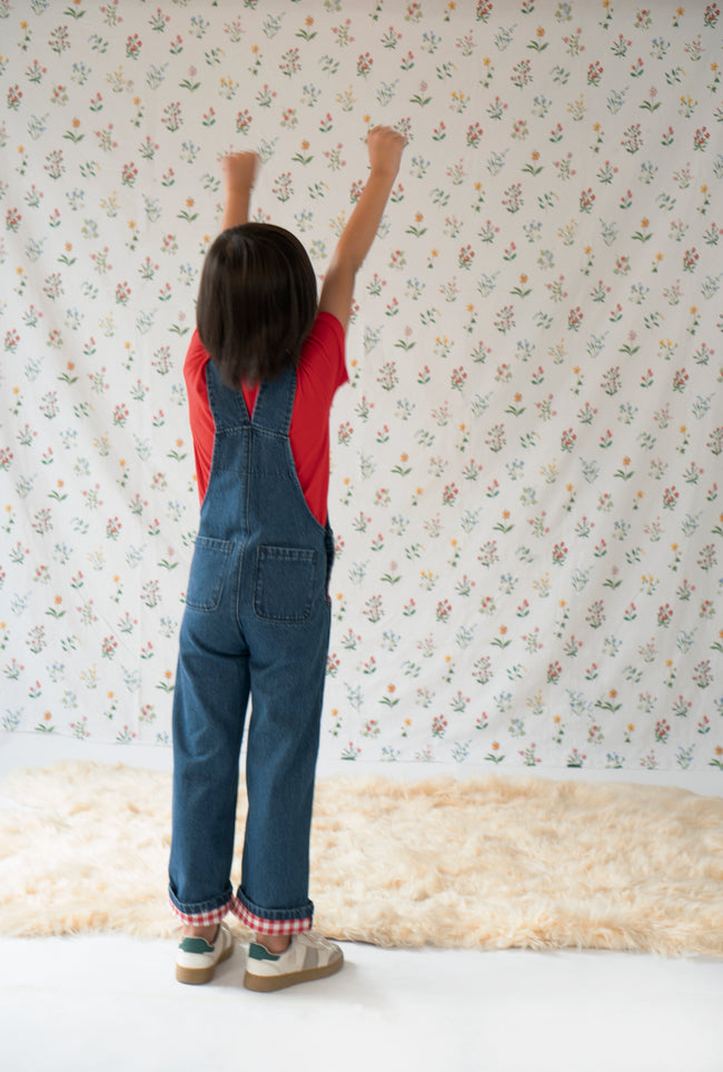 Red & Blue Denim Overalls Main Image