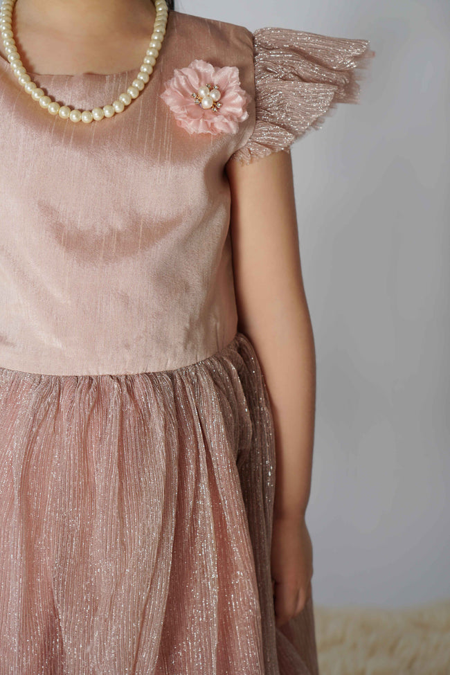 Peach Shimmery Party Dress Main Image