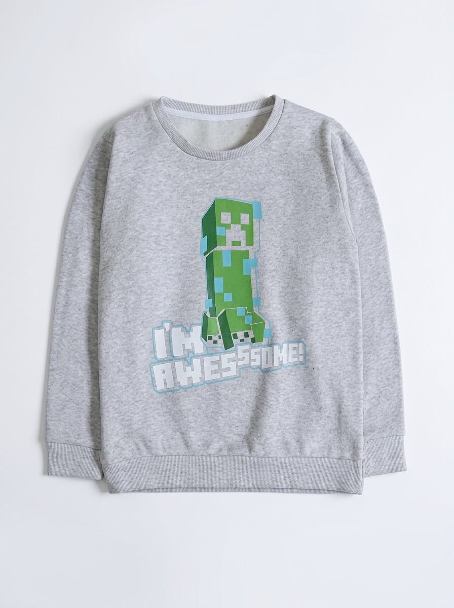 Minecraft Sweatshirt