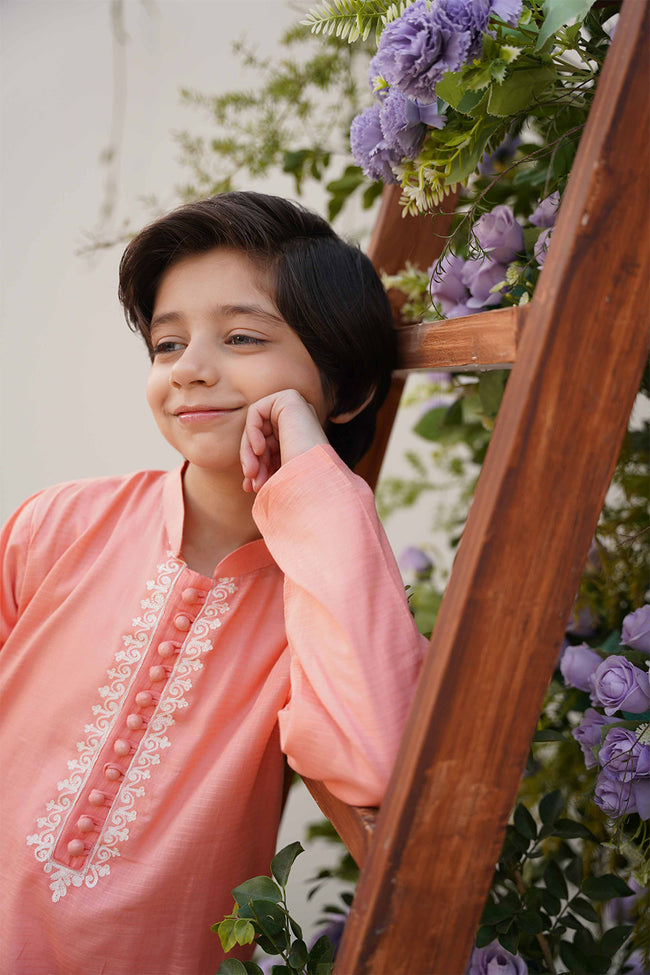 Rosy Apricot  Embroidered Kurta Hover Image