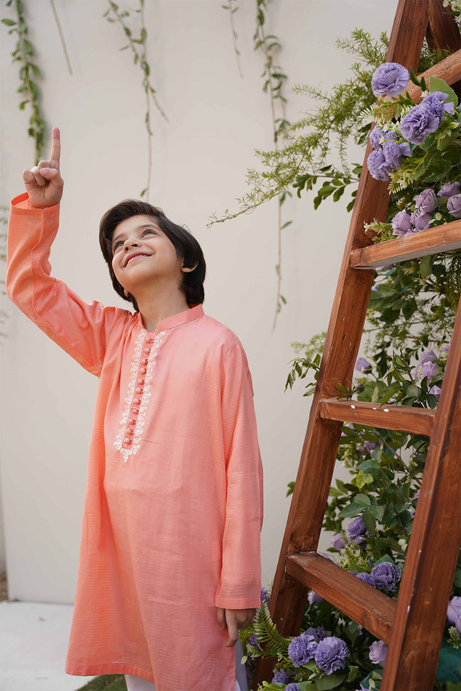 Rosy Apricot  Embroidered Kurta Main Image