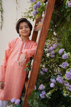 Rosy Apricot  Embroidered Kurta