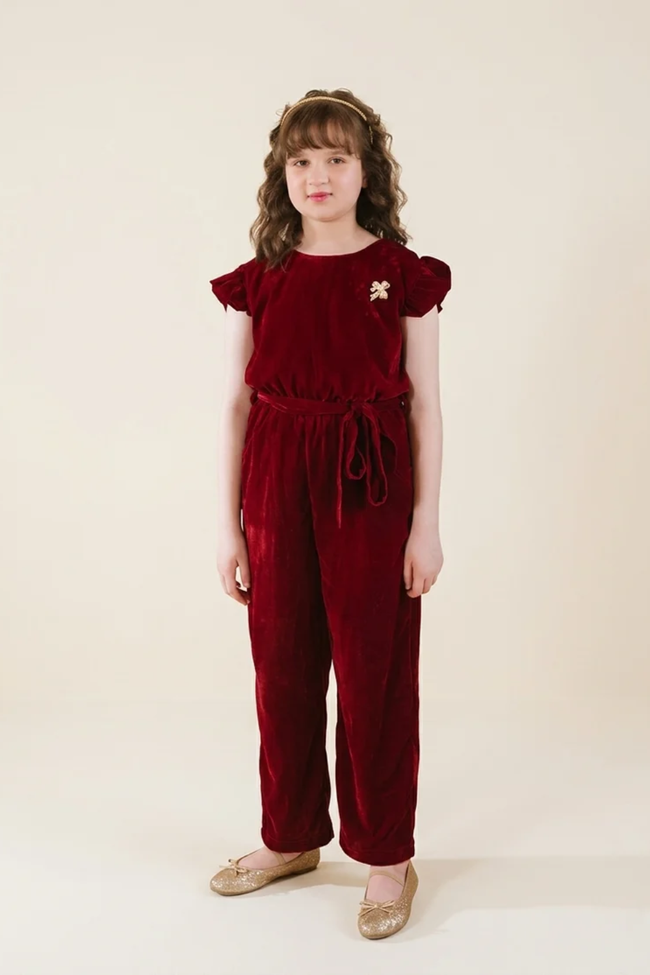 Maroon Velvet Jumpsuit Hover Image