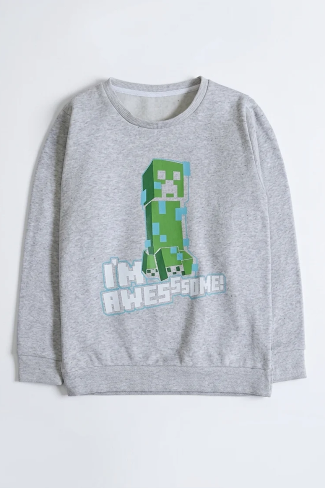 Minecraft Sweatshirt Hover Image
