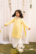 Amaltas ~ Mirror and Thread embroidered Sharara Set 4 Pcs