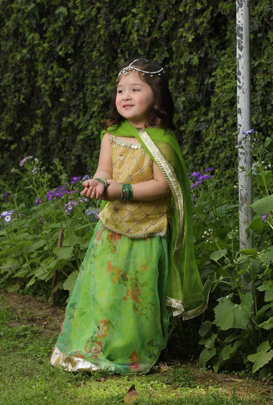 Emerald Princess Lengha - 3 PC