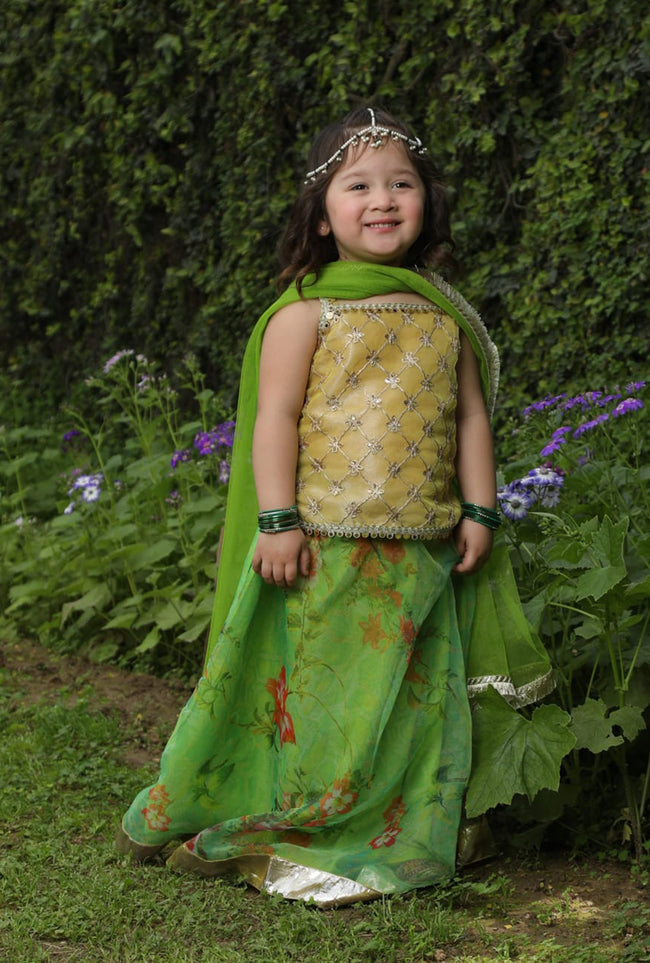 Emerald Princess Lengha - 3 PC Hover Image