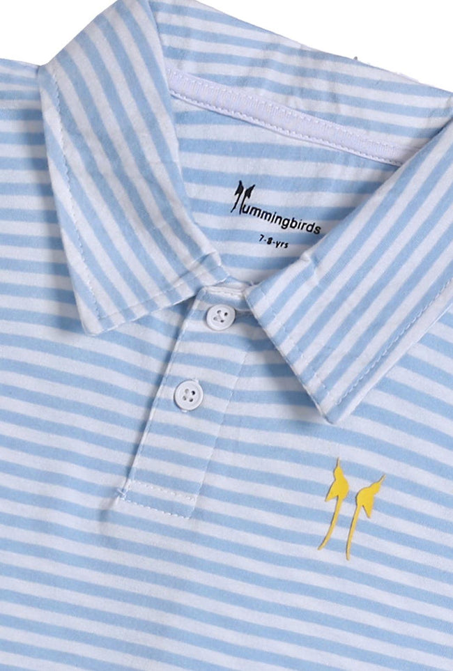Blue White Polo Main Image