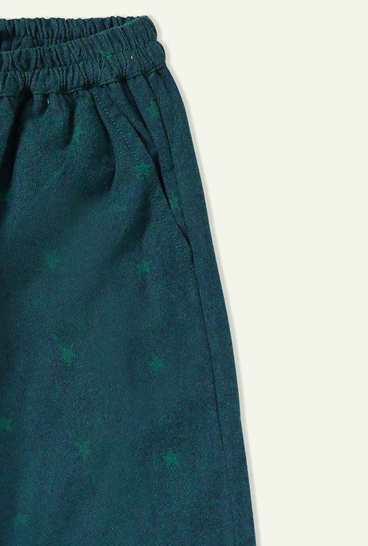 Star Print Green Quilted Pants