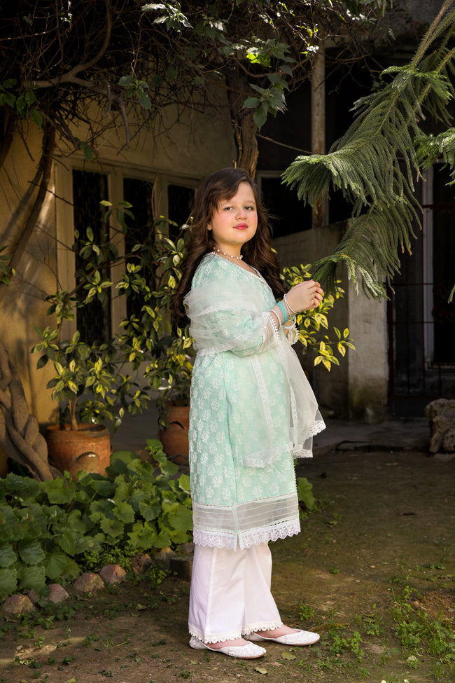 Neel Kanwal Suit - 2PC (Shirt & Dupatta) Main Image